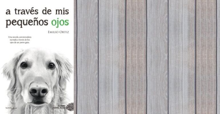 libros recomendados blog